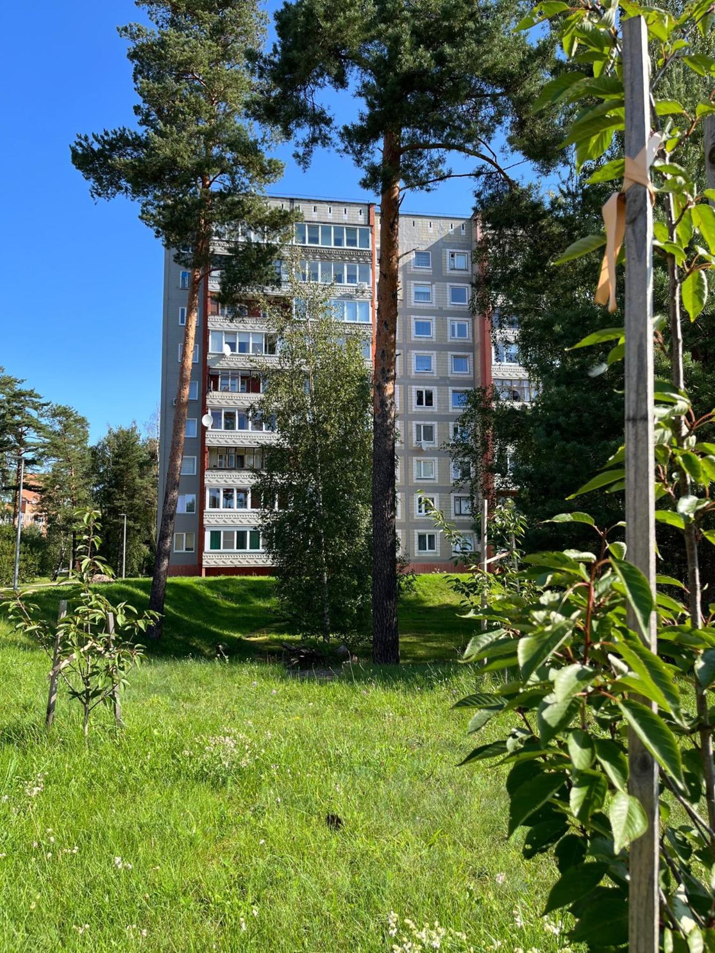 Pine Apartment Висагинас Экстерьер фото