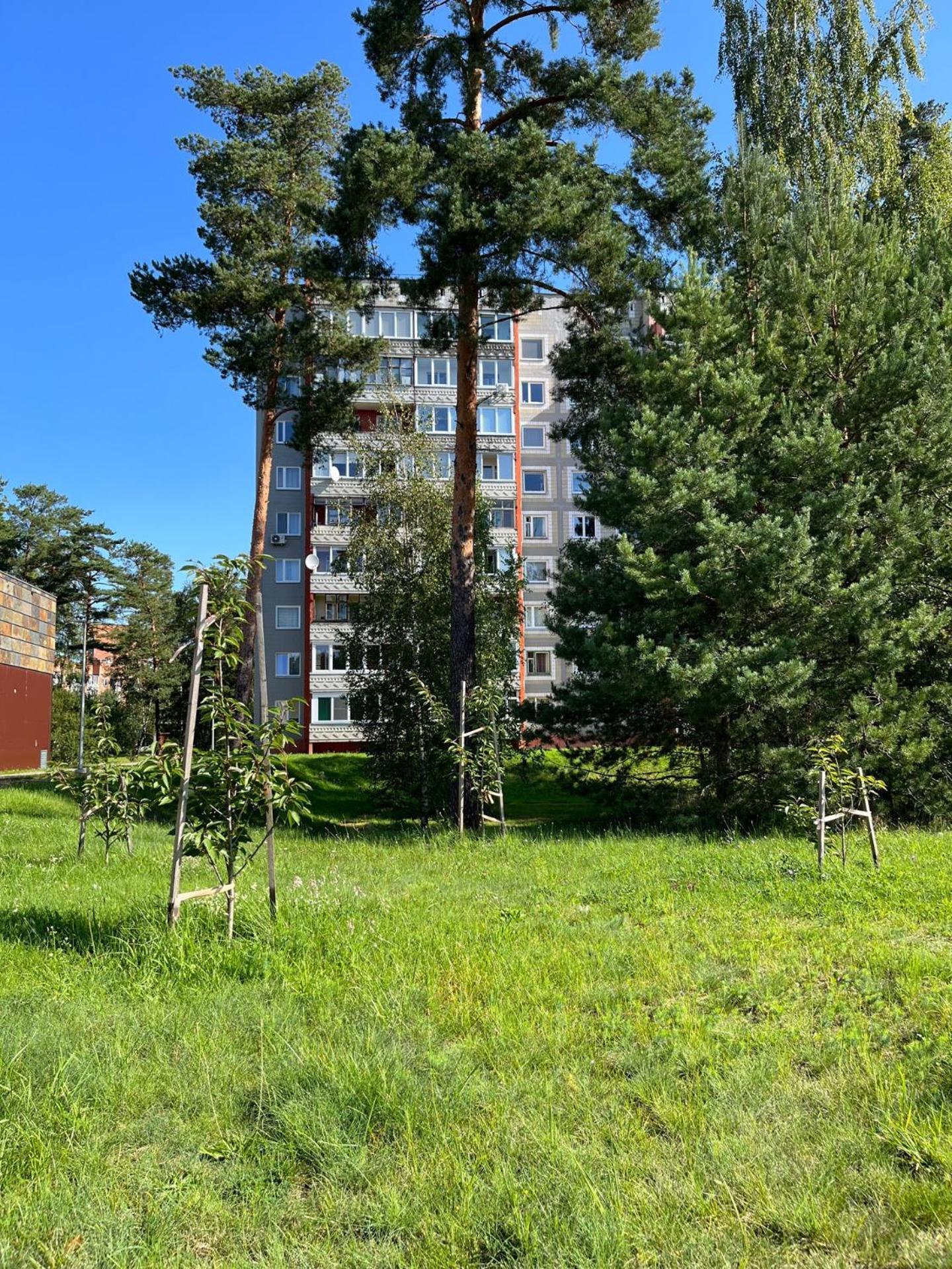 Pine Apartment Висагинас Экстерьер фото